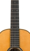 Neck